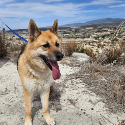 WhatsApp Image 2026-02-13 at 15.40.06 (1)