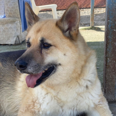 WhatsApp Image 2026-02-13 at 15.40.06 (2)