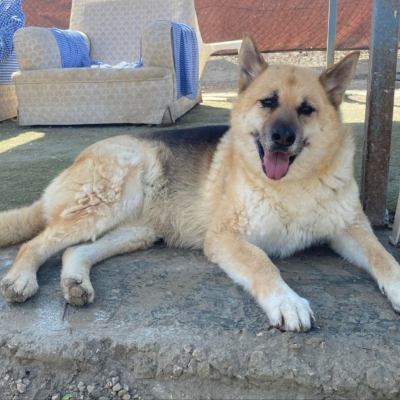 WhatsApp Image 2026-02-13 at 15.40.06 (3)