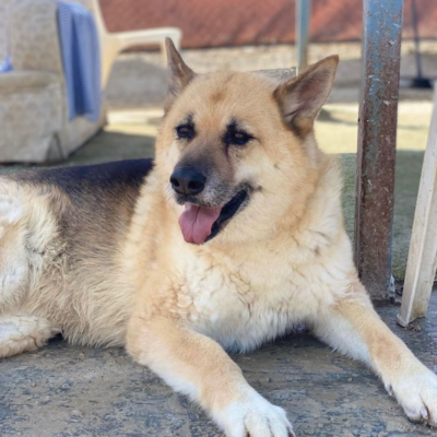 WhatsApp Image 2026-02-13 at 15.40.06 (4)