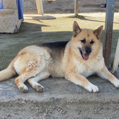 WhatsApp Image 2026-02-13 at 15.40.06 (5)