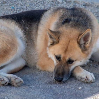 WhatsApp Image 2026-02-13 at 15.40.07 (1)