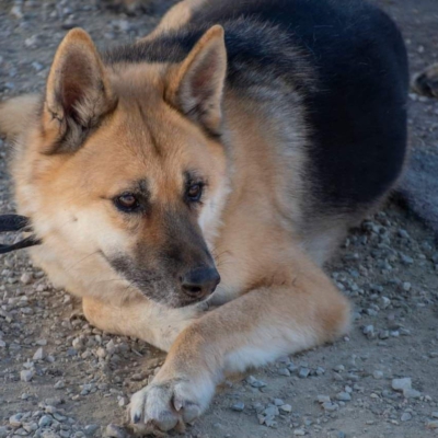 WhatsApp Image 2026-02-13 at 15.40.07 (2)