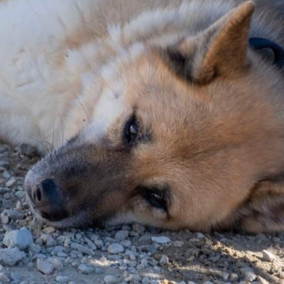 WhatsApp Image 2026-02-13 at 15.40.07 (3)