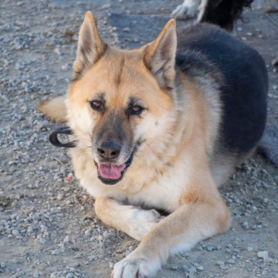 WhatsApp Image 2026-02-13 at 15.40.07 (4)