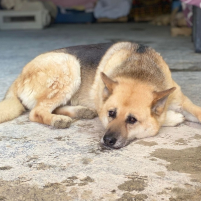 WhatsApp Image 2026-02-13 at 15.40.07