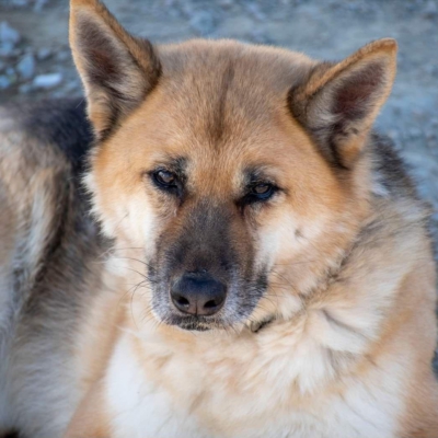 WhatsApp Image 2026-02-13 at 15.40.07 (5)