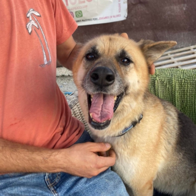 WhatsApp Image 2026-02-13 at 15.40.08 (1)