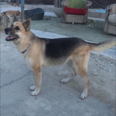 WhatsApp Image 2026-02-13 at 15.40.08 (2)