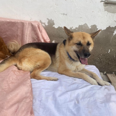 WhatsApp Image 2026-02-13 at 15.40.08 (3)