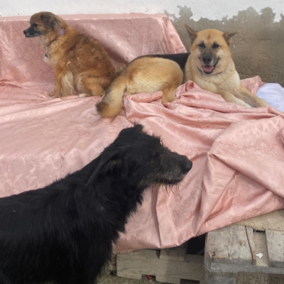 WhatsApp Image 2026-02-13 at 15.40.08 (4)