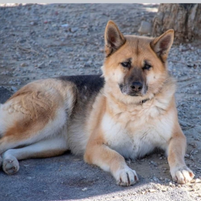 WhatsApp Image 2026-02-13 at 15.40.08