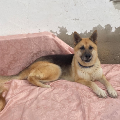 WhatsApp Image 2026-02-13 at 15.40.08 (5)