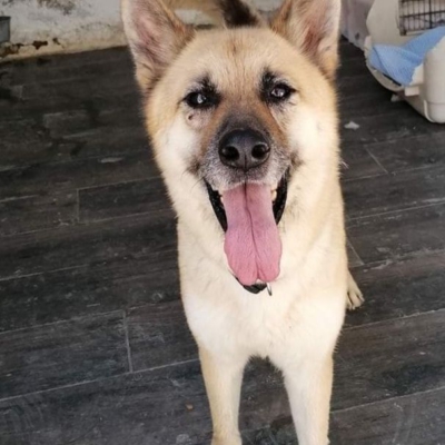 WhatsApp Image 2026-02-13 at 15.40.08 (6)