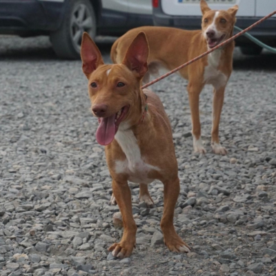 PHOTO-2025-09-23-19-34-27 2