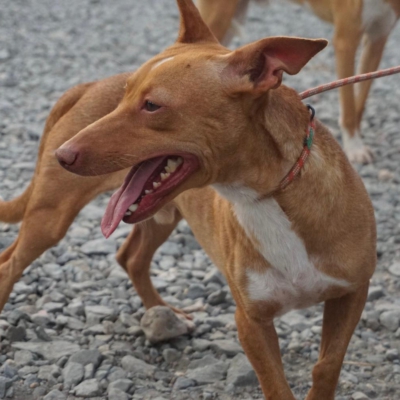 PHOTO-2025-09-23-19-34-27 4