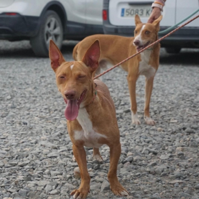 PHOTO-2025-09-23-19-34-27