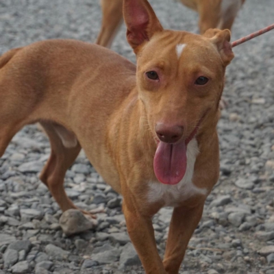 PHOTO-2025-09-23-19-34-27 5