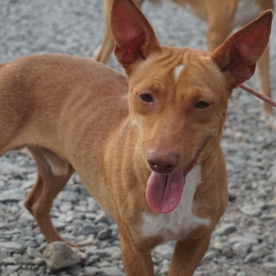 PHOTO-2025-09-23-19-34-27 6