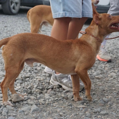 PHOTO-2025-09-23-19-34-27 7