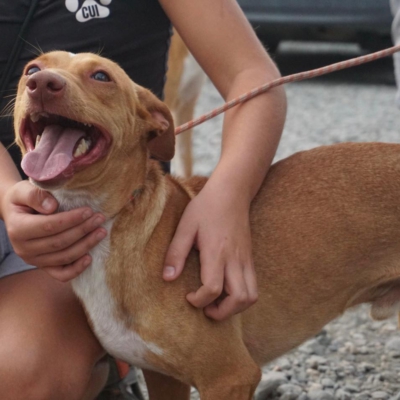 PHOTO-2025-09-23-19-34-33 2