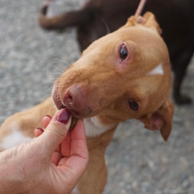 PHOTO-2025-09-23-19-34-33 3