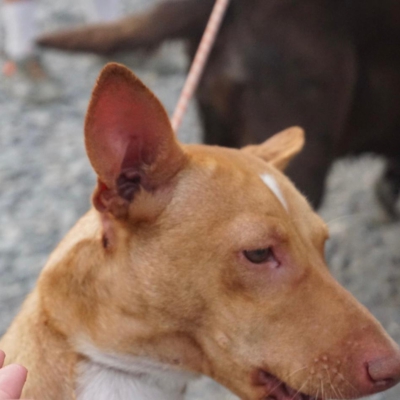 PHOTO-2025-09-23-19-34-33 4