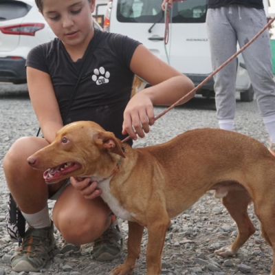 PHOTO-2025-09-23-19-34-33