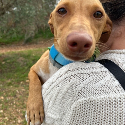 PHOTO-2025-11-12-15-44-17 2