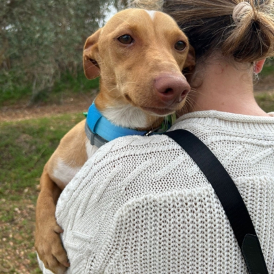 PHOTO-2025-11-12-15-44-17