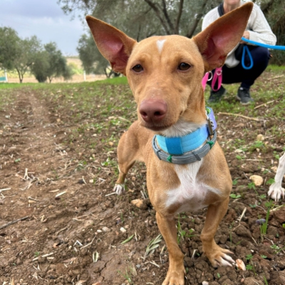 PHOTO-2025-11-12-15-44-18 2