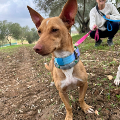 PHOTO-2025-11-12-15-44-18