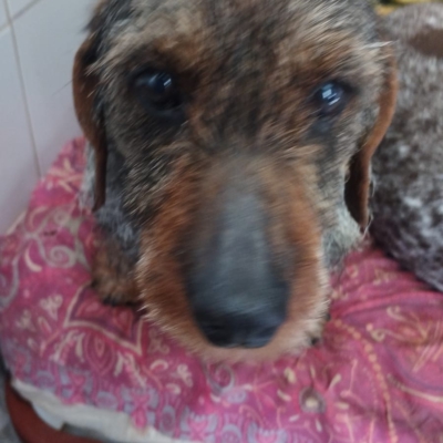 PHOTO-2026-02-28-13-17-33 3