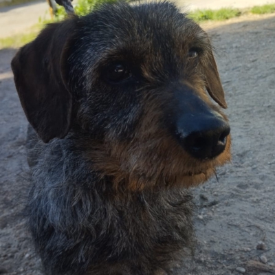 PHOTO-2026-02-28-13-17-33 4