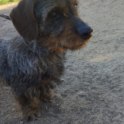 PHOTO-2026-02-28-13-17-33 5