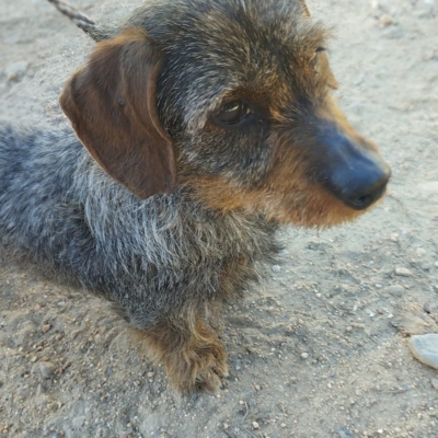 PHOTO-2026-02-28-13-17-33 7