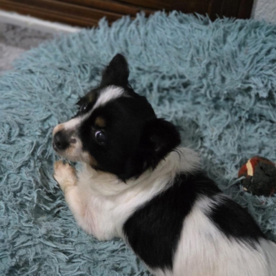 PHOTO-2026-02-28-13-18-07 2