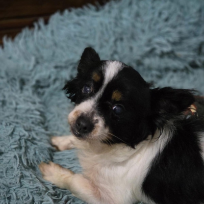 PHOTO-2026-02-28-13-18-07 3