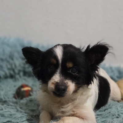 PHOTO-2026-02-28-13-18-07 4