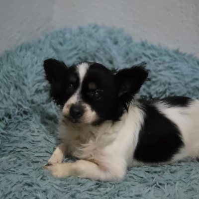 PHOTO-2026-02-28-13-18-07