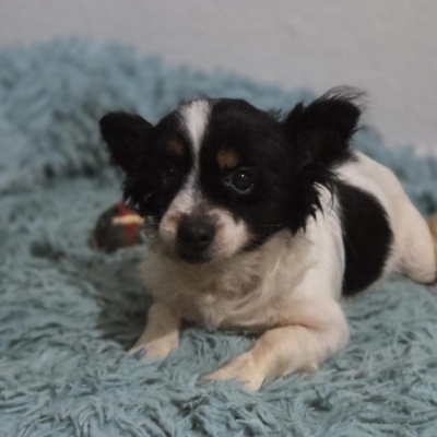 PHOTO-2026-02-28-13-18-07 5