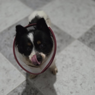 PHOTO-2026-02-28-13-18-07 6