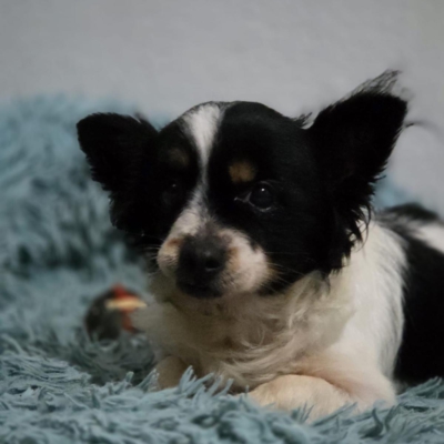 PHOTO-2026-02-28-13-18-07 7