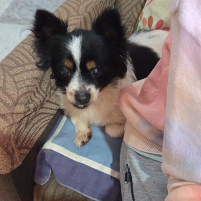 PHOTO-2026-02-28-13-18-08 2