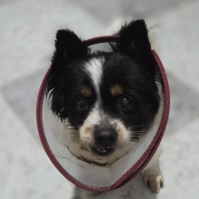 PHOTO-2026-02-28-13-18-08