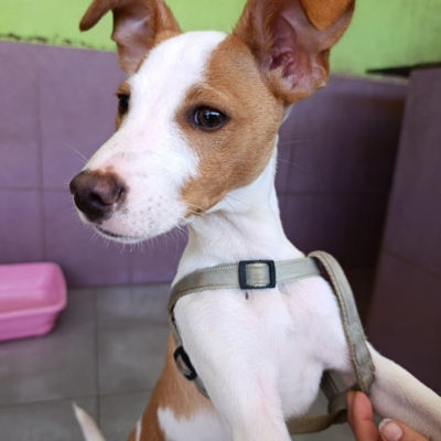 PHOTO-2026-02-28-13-22-40 3