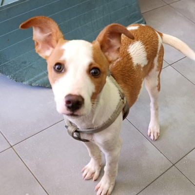 PHOTO-2026-02-28-13-22-40 4