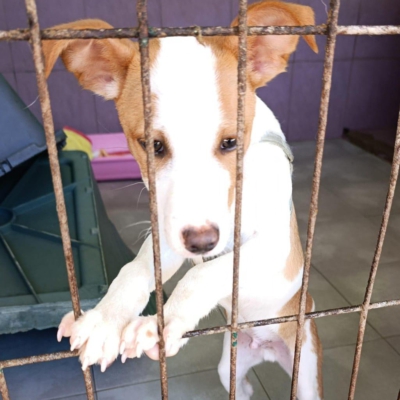 PHOTO-2026-02-28-13-22-40