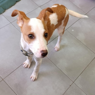 PHOTO-2026-02-28-13-22-40 5