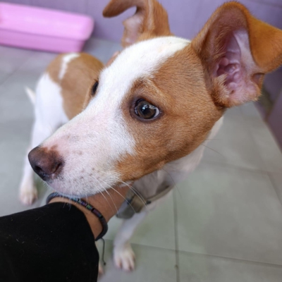 PHOTO-2026-02-28-13-22-40 6